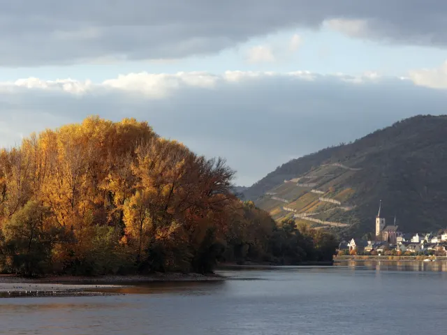 Flusslandschaft mit Weinbergen