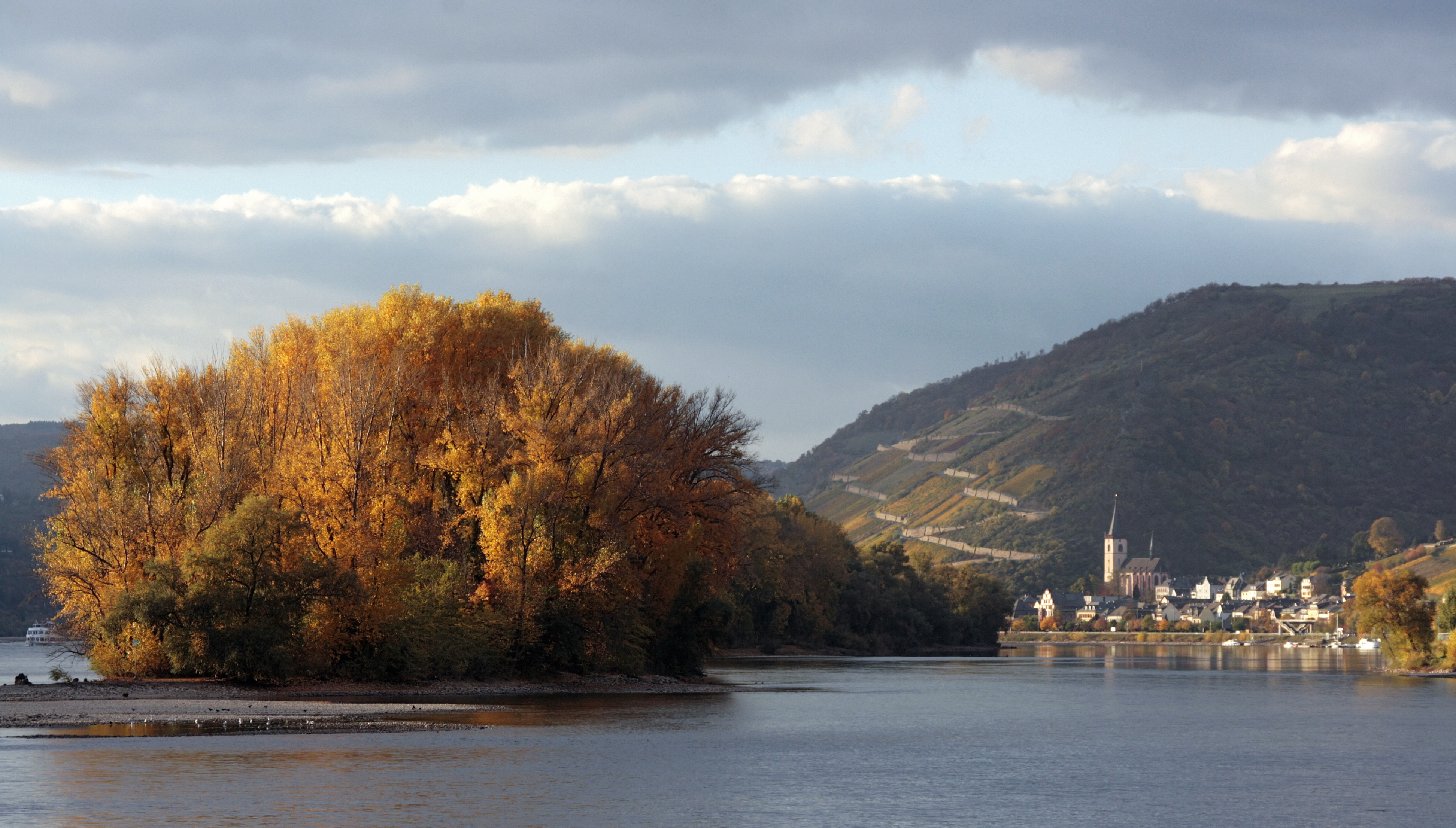 Flusslandschaft mit Weinbergen